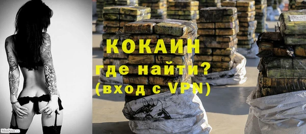 метадон Алексин