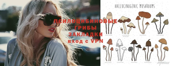 метадон Алексин