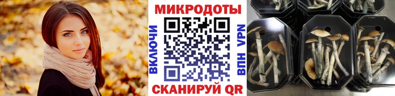 наркотики  мориарти состав  Галлюциногенные грибы Psilocybine cubensis  Новоуральск 