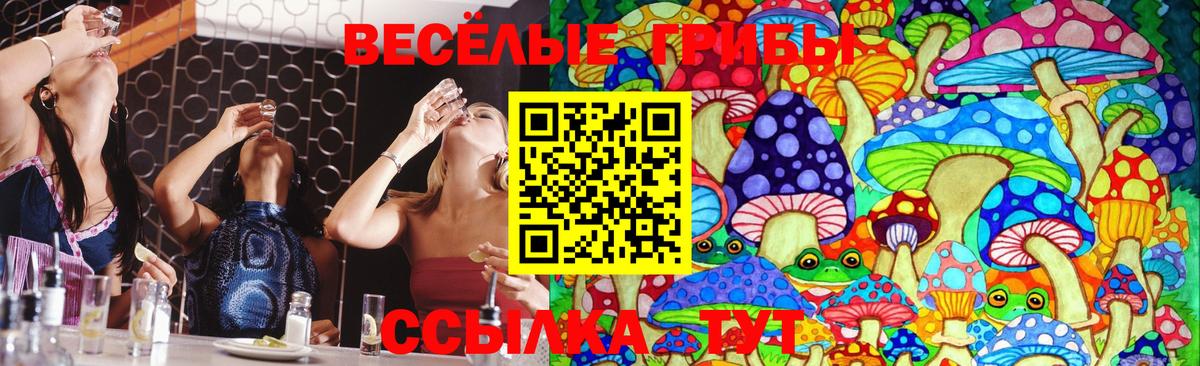 Галлюциногенные грибы Cubensis  Вход с VPN  Новоуральск 