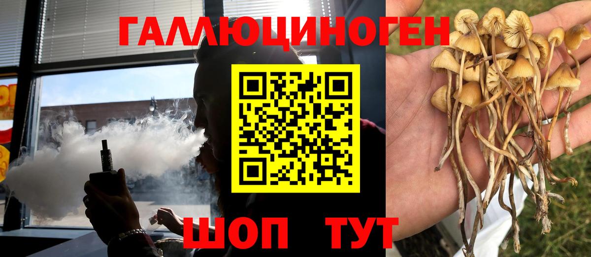 Псилоцибиновые грибы Psilocybine cubensis Новоуральск